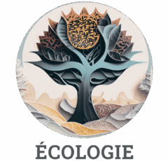 Modes-Écologie Modes-Écologie